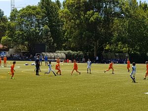 resized_20170121_120854