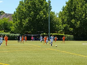 resized_20170121_121413